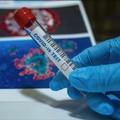 Coronavirus, un solo nuovo caso in Puglia. Si confermano zero contagi e decessi nella Bat