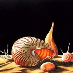 Un catalogo d'arte in memoria del pittore andriese Michele Ficarazzo
