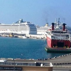Vino e olio all'arrivo dei crocieristi: nasce l'etichetta "I Filari "