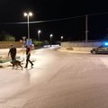 Sicurezza nella Bat, Losito (Cambiamo):  "Furti, atti vandalici e assembramenti, non sarebbe ora di intensificare i controlli? "