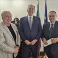 Cia e Italia Olivicola:  "Settore olivicolo sotto attacco delle speculazioni "