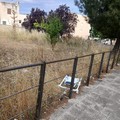 Parco di via Dante Di Nanni: urgono interventi di bonifica di quel che rimane dell'area verde