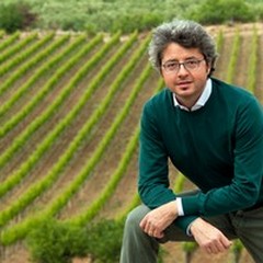 Cantine Aperte, l'eccellenza delle vigne locali