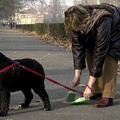 Polizia Locale: controlli in abiti civili ad Andria per multare gli sporcaccioni delle deiezioni canine