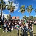 Gioventù Nazionale Andria: «Fratelli d'Italia vince la sfida del tempo ed è primo partito fra i giovani»