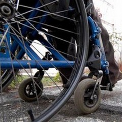 Riparte il servizio di assistenza specialistica per studenti disabili della BAT