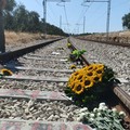 Disastro ferroviario del 2016, oggi la sentenza della Cassazione