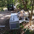 Inciviltà verso la natura, abbandonati rottami nei pressi di  contrada Abbondanza
