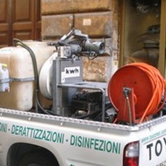 Disinfestazione antizanzare dal 12 al 14 settembre