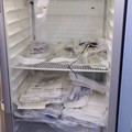 Sanità: la Giunta regionale approva il piano sangue e plasma 2026