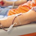 «Serve plasma iperimmune», tanti gli appelli alla donazione: ecco chi contattare