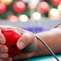 Avis, al via la campagna antinfluenzale: vaccino gratuito per i donatori di sangue