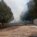 Incendi: stagione del fuoco partita in anticipo rispetto agli anni passati