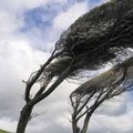 Vento forte anche ad Andria, è di nuovo allerta meteo