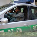 Montaruli: "Che fine ha fatto il polo della Sicurezza? "