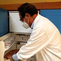 Vaccinazione anti-covid, Ministro Speranza: "Campagna senza precedenti. Prime dosi per le categorie più esposte "