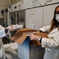 In arrivo per la Puglia oltre 30 mila dosi di vaccino anti covid 19
