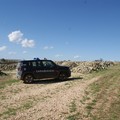 Truffa dei pascoli tra le province Bat e Bari: Carabinieri forestali sequestrano 400mila euro