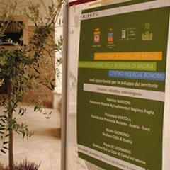 Brand "Castel del Monte ": turismo, produzione e commercio