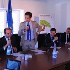 Cartelle del Consorzio Terre d'Apulia, Nardoni: «Non ci sono errori»