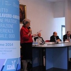 «Il Sud è la locomotiva d'Italia»: il MEIC rilancia il messaggio da Bari