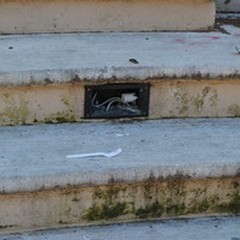 Ancora un raid nella villa comunale, danneggiati i bagni pubblici