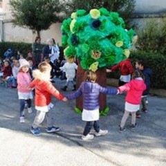 Festa dell'albero 2016, al 1°Circolo "Don Bosco Manzoni "