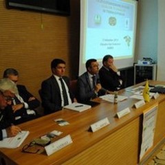 Cantele (Coldiretti): «Puglia regina dell'olio, combattiamo le agromafie»