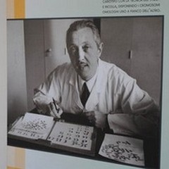 Uomo unico ed insostituibile: l'idea cara a Lejeune in mostra