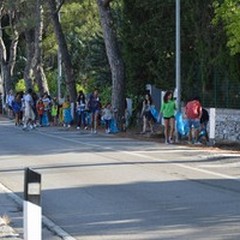 Finanziamento pineta Castel del Monte: «Opportunità unica e irripetibile grazie all'allora assessore Del Giudice»