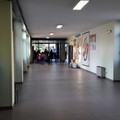 Ripartono i moduli formativi per gli alunni della scuola primaria al 3° circolo  "Cotugno "