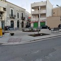 Inverno mite, sale lo smog in città: Andria appena 15 alberi per 100 abitanti