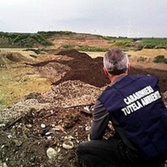 Ambiente, Piscardi: «Realizzare un sistema urbano sostenibile»