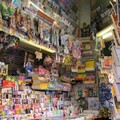 Circolo della stampa: rinnovate le cariche sociali