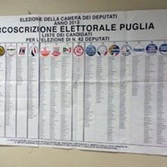 Segui con Andriaviva i risultati elettorali
