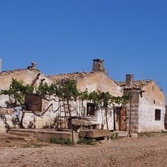 Varata in Giunta Regionale la Convenzione tra Regione Puglia e Federparchi