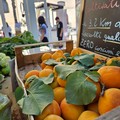 Entra nel vivo il Progetto On Foods – WUHAO