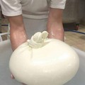 Andria celebra un mestiere tra i più antichi e rinomati: Un monumento al Casaro