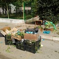 La Villa Comunale di Andria nel degrado dopo il mercato del lunedì