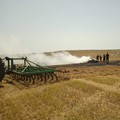 Alte temperature, il Parco dell'Alta Murgia "sorvegliato speciale "