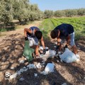 Rifiuti nelle campagne, la Puglia istituisce un Fondo per i comuni, CIA: “Risultato storico”