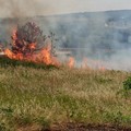 Fuoco in contrada Femmina morta, fiamme vicine alla SS 170