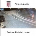 Il Pd Andria plaude alla Polizia locale per gli interventi contro gli spari notturni non autorizzati