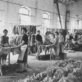 Giornata internazionale della donna, per un femminismo della differenza