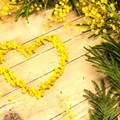 “Come le vedono, come sono”: spettacolo di prosa, musica e fotografia interamente dedicato alle donne