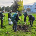 Festa dell’Albero: manifestazione di Fareambiente alla Scuola  "Dante Alighieri " di Andria