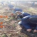 Un impegno comune per la salute dell'uomo e la vita della  "terra "