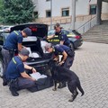 Guardia di Finanza: nel 2024, 3.100 finanzieri in più sul territorio italiano