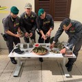 Giro di vite dei finanzieri della Bat: sequestrati 580 gr. di sostanza stupefacente