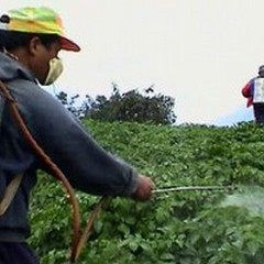 Sicurezza in agricoltura, parte la convenzione tra Asl e datori
